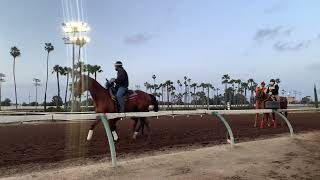 Los Alamitos Race Track