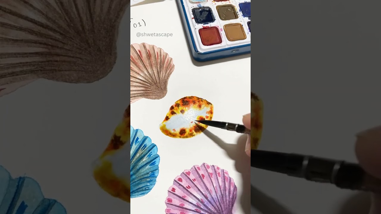 Seashell Watercolor Painting 