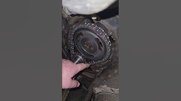 Cloyes timing chain slack