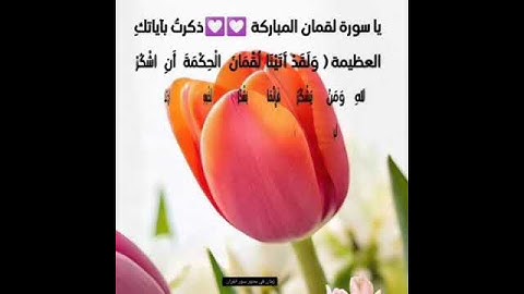 مشاعر وفوائد والحب في سور القرآن الكريم الحب لسورة لقمان #لايك #القرآن_نور_للقلوب_وشفاء_للصدور