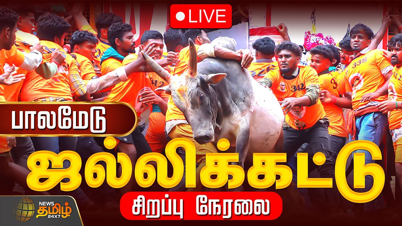 🔴 LIVE: Palamedu Jallikattu Live | சீறும் காளைகள்.. மிரட்டும் வீரர்கள் | Madurai | சிறப்பு நேரலை