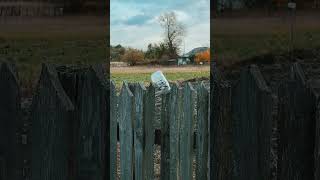 HURT, Johnny Cash 💔🌾 A Soul-Stirring Journey Through Time 🖤🎶