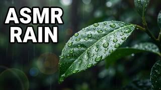 Finally Sleep, Refreshing Rain Sounds ASMR | White Noise for Sleep
