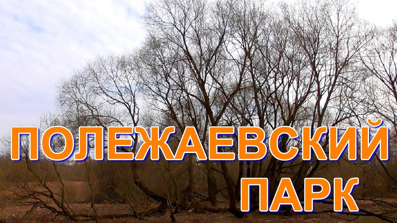 Полежаевский парк в Санкт-Петербурге.. - YouTube