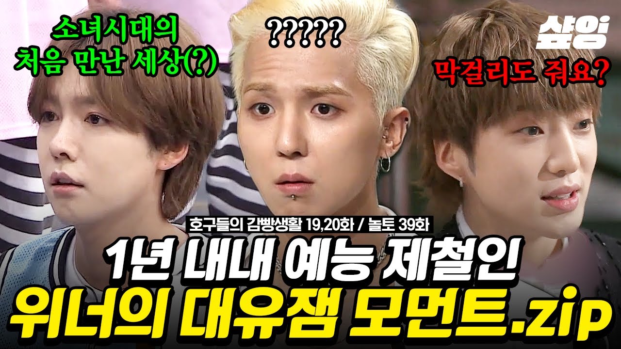 컴백 빼고 다 하던 위너가 온다!! 💙위너 컴백 기념💙 예능 활약상 모음📂 노래만 잘하는 줄 알았더니 웃긴 사람들이었네... ※입덕 위기※ | #샾잉