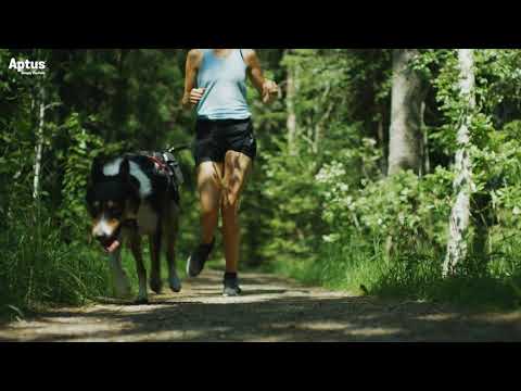 Video: Suoliston Häiriö (liikkuvuuden Menetys) Koirilla