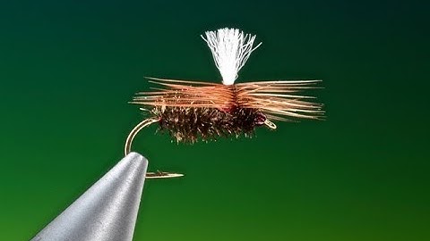 Fly Tying a Brown & Peacock beetle with Barry Ord Clarke