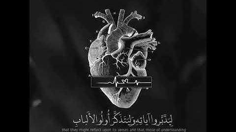 حاله واتس تلاوة رائعة كتاب أنزلناه إليك مبارك ليدبروا آياته حالات واتس قرأن Quran