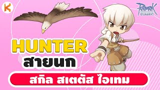 แนะนำแนวทาง ฮันนก จิกรัวไม่ยั้ง สเตตัส สกิล ของสวมใส่ Falcon Hunter Build | Ro Classic GGT