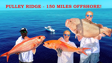 FOUR HOURS of Remote Deep Drop Fishing for RARE Grouper and Snapper *Catch Clean and Cooks*