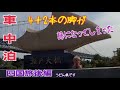 四国車中泊後編 / わんこと思い出作りの旅