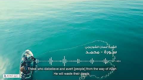 سورة محمد / الشيخ غسان الشوربجي
