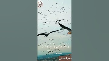 اللهم امين يارب العالمين#ماهر_المعيقلي#تلاوة_خاشعة  #القرآن_الكريم#راحة_نفسية