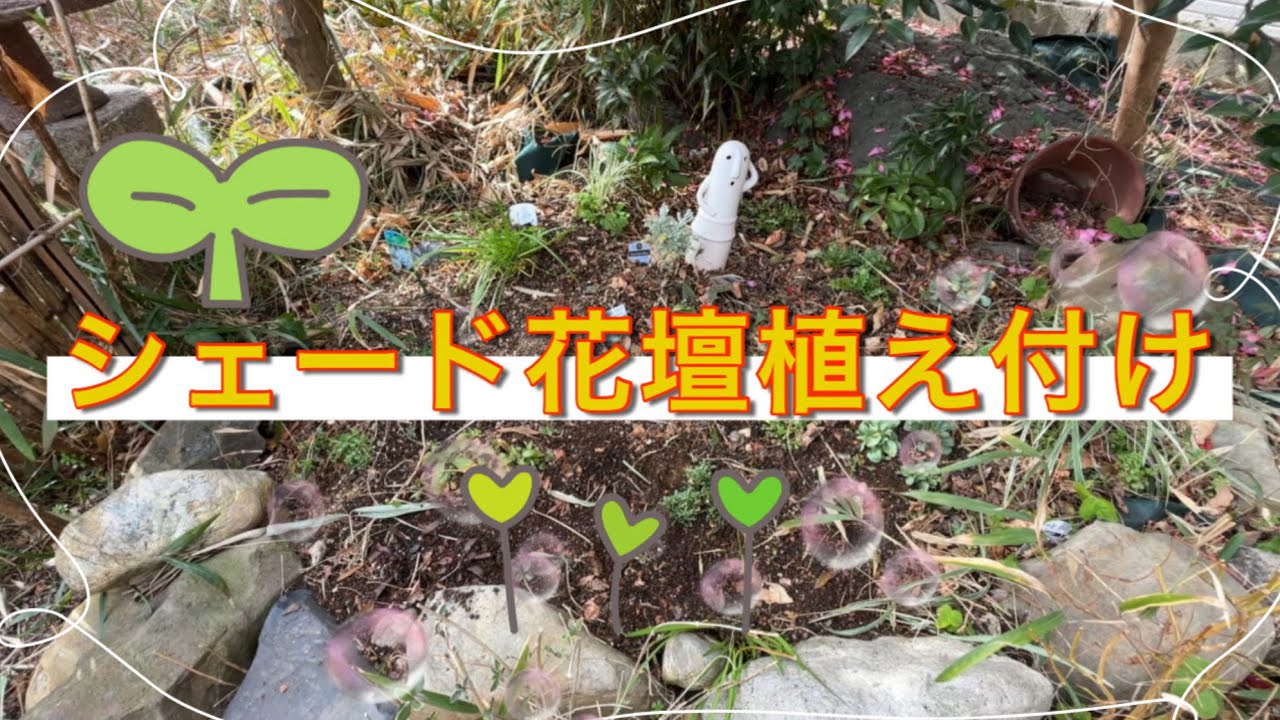 シェード花壇植え付け