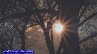 Sleeping sound music for deep sleep, pion music, beautiful relaxing music sound