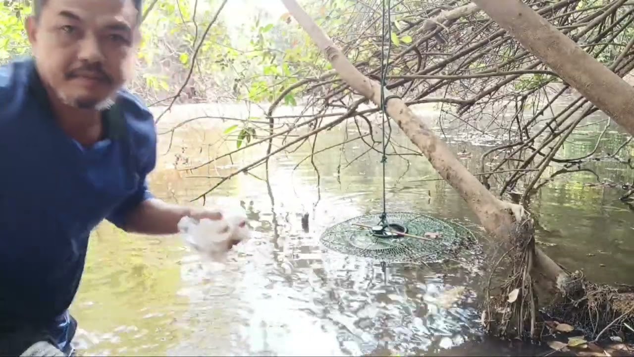 เอาแล้ว ลอบสุ่มไก่ เหยื่อโครงไก่+ตับไก่+ดินปวก+ข้าวลุก