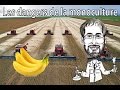 Les bananes ou les dangers de la monoculture