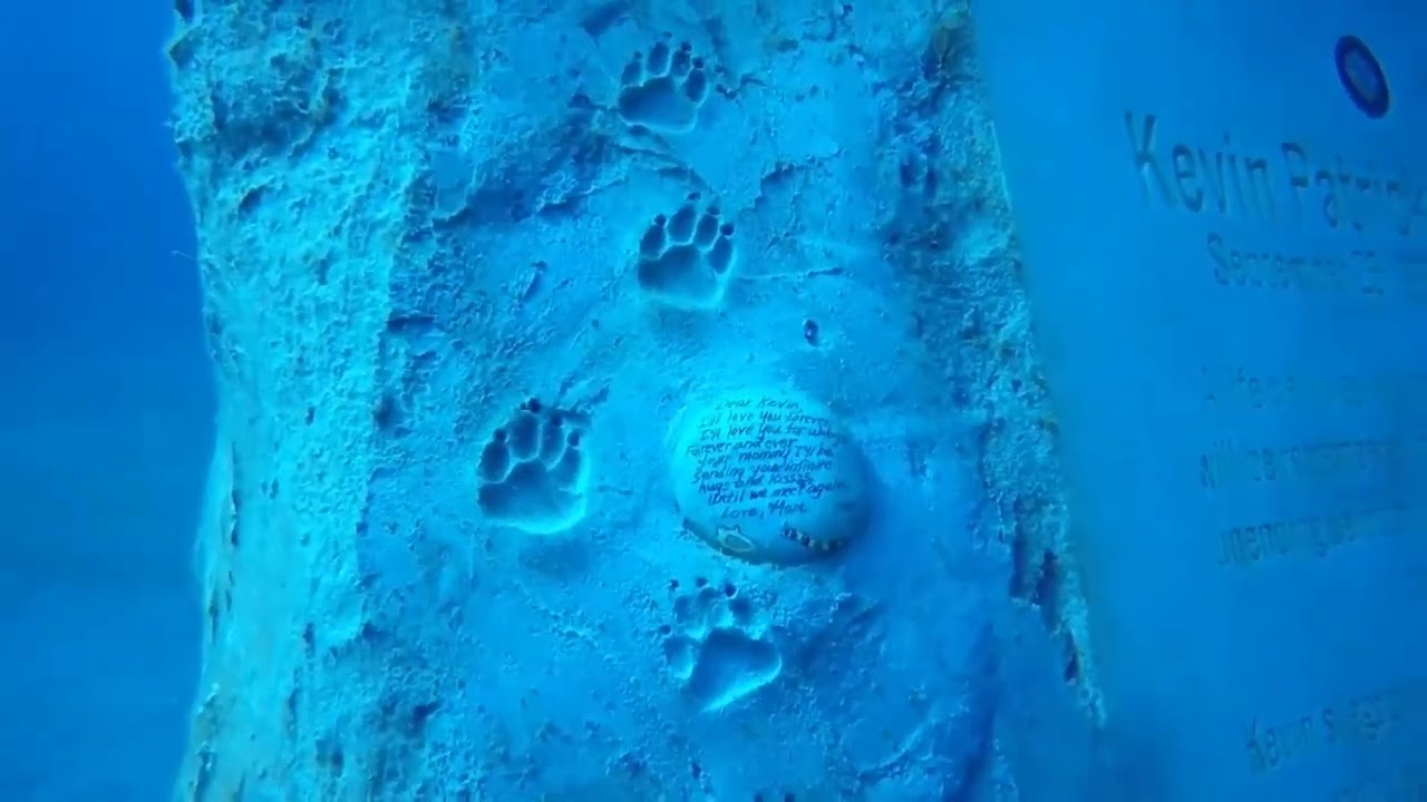 Kevin Mehaffey Memorial Reef