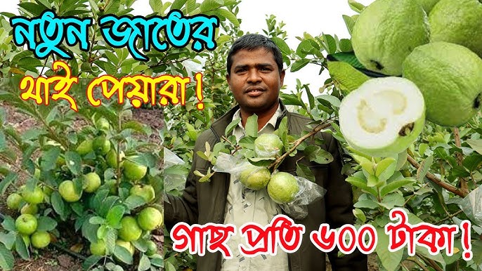 Alena Kalinina porno rasmlar Ular aylana bo‘ylab yuribdi, ruscha.