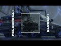 Peligrosa Slowed Best Part FloyyMenor 