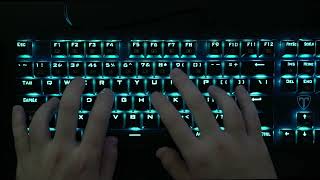 ASMR keyboard typing - Blue switch (No talking) screenshot 1