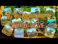 Обзор на ВСЕ ДЕНЫ в WildCraft