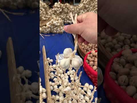 Как продают чеснок в Турции #турция #стамбул #еда #туризм #путешествия #рынрк