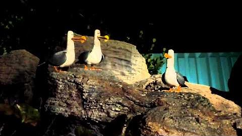 Finding Nemo seagulls