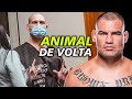 DIRETO DA PRISÃO , CAIN VELASQUEZ VOLTA PARA AS LUTAS