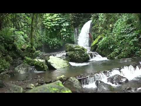 Peach - Batangas Beat [Mood Hut Records]