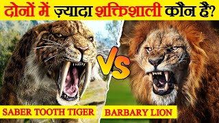 Saber Toothed tiger और Barbary Lion में कौन है ज़्यादा शक्तिशाली | Saber Tooth Tiger vs Barbary Lion