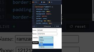 Details HTML Form with Country Select Tag Dark Theme #form #htmltutorial #loginform Guide