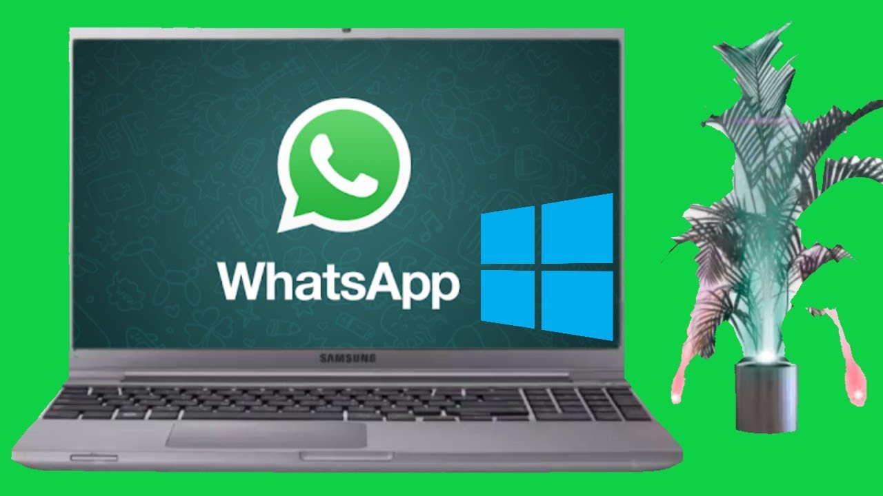 Whatsapp Pour Pcwindows Youtube