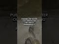 Permanent leak repair.. Permanent concrete and masonry leak repair to #sydney #crackinjectio #shorts