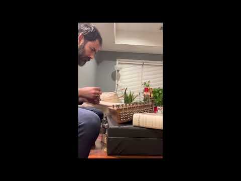 گل گلدون من شکسته در باد از تو تنها شدم با سنتور       