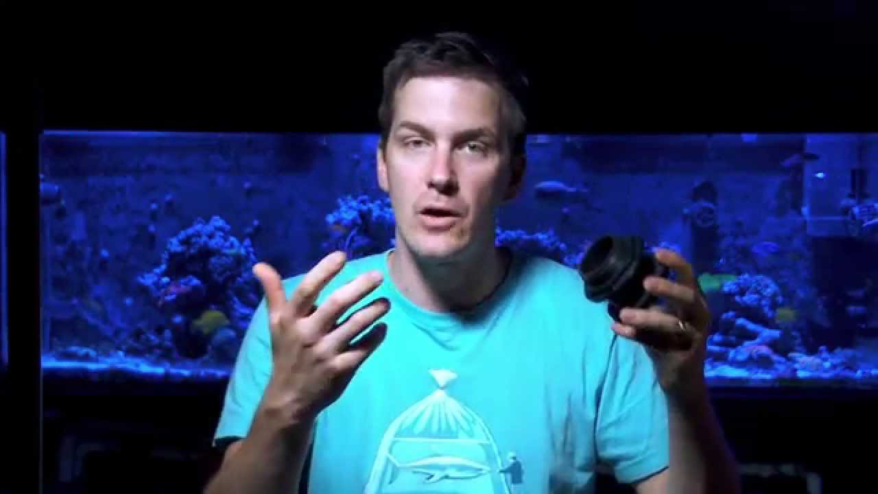 saltwater sushi & burger Mr. Saltwater Tank Friday AM Quick Tip: Even These Parts Need To Be Matched