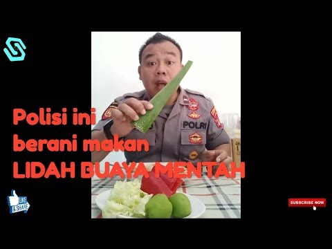 Download lagu Polisi Berani Makan Mentah Lidah Buaya #Challenge Polisi Berani Makan Mentah Lidah Buaya #Challenge