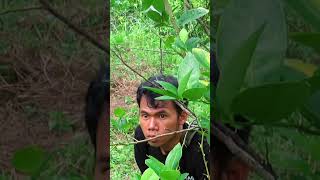 Ada burung bawa makanan di kebun jeruk, Ngebolang #51 #jejakbudakabrag