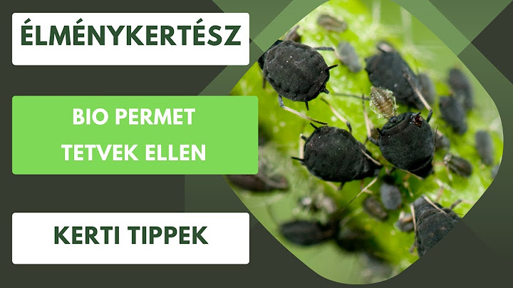 Bio permet tetvek ellen🪲