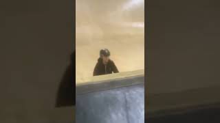 Bri double ##scooter #scootertrick #viral #finally #scootertricks #bri #double
