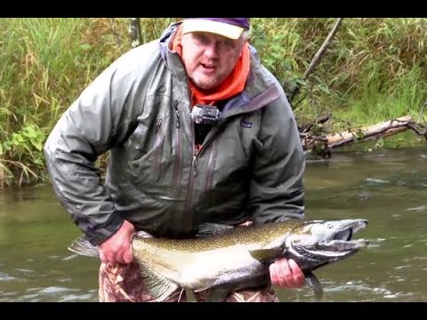 Fly Fishing the Grand River with Mikey Metcalfe, fly trout fishing - u ...