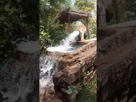 مزرعة عايش دوم باجل 