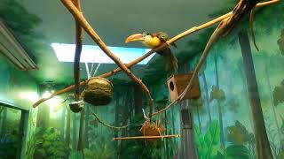 Wildlife World Zoo, Aquarium & Safari Park Part I