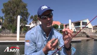 Asari Tomei Minnow screenshot 3