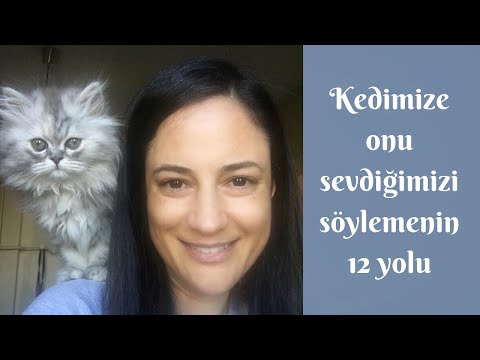 Kedimize onu sevdiğimizi söylemenin 12 yolu!