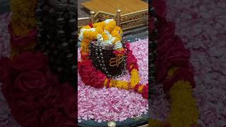 vishwanath Sadashiv Bhiraba main Shiva Song Status💫Shiv Status🙏#Bhajan #