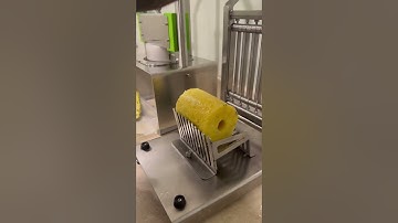 JMP Pineapple Cutter, Peeler, Corer & Slicer