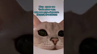 5 февраля 2024 г.