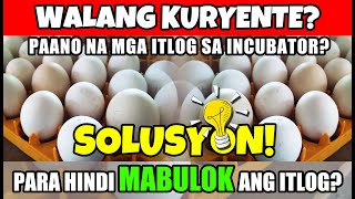 ANONG GAGAWIN SA ATING INCUBATOR KAPAG WALANG KURYENTE? | SOLUTION!