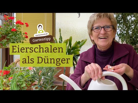 Video: Verwendung Von Eierschalen Als Dünger (im Garten, Für Setzlinge Und Zimmerpflanzen Und Nicht Nur) + Bewertungen